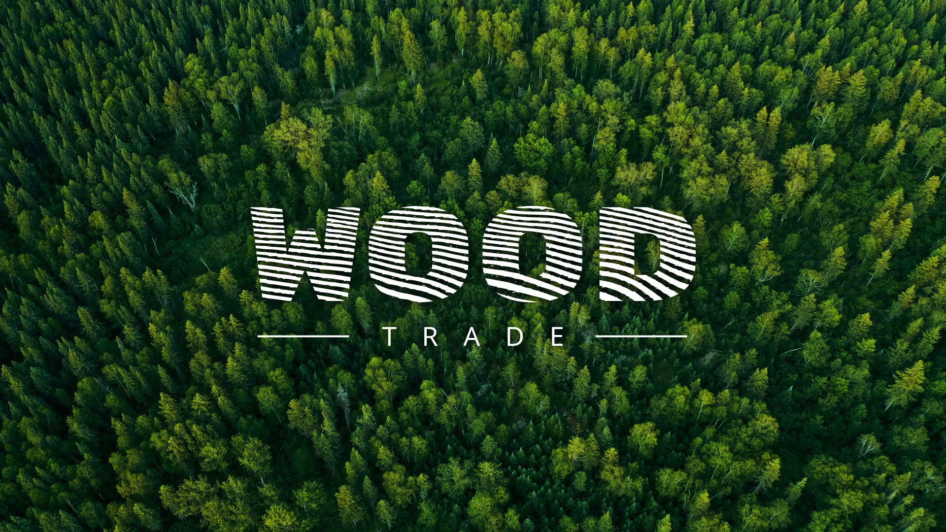 Разработка интернет-магазина компании «Wood Trade» в Покровске
